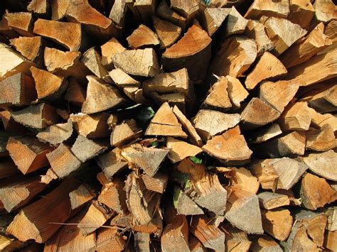 tree wood firewood  photo  pixabay
