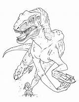 Velociraptor Raptor Coloringhome Getcolorings Satisfaisant Colorin sketch template