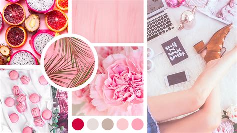 le guide pour creer  moodboard efficace  exemples canva