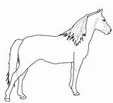 Coloring Horse Trojan Getcolorings sketch template