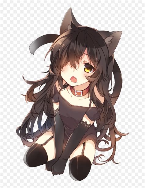 top  cute anime black cat latest cegeduvn