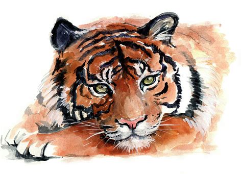 watercolor tiger painting  tatyana komtsyan