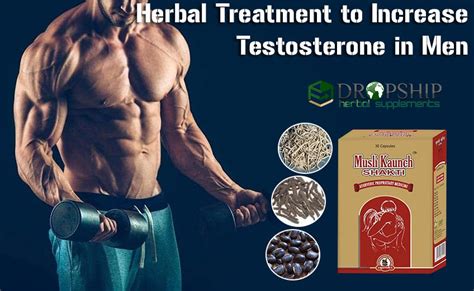 Herbal Treatment To Increase Testosterone In Men Sex Drive Naturally