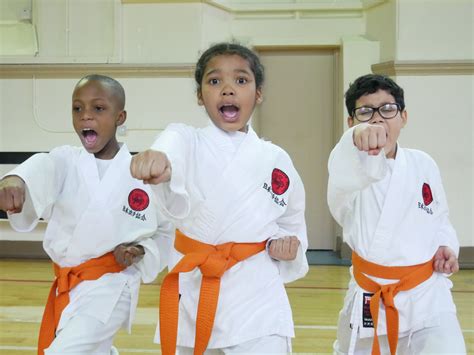Beginners Learning Karate