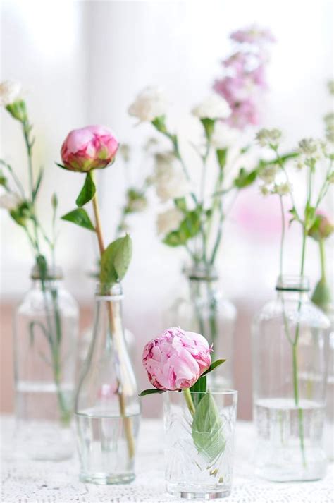 flowers  glass bottles pictures   images