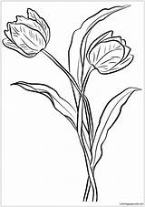 Tulips Pages Two Coloring Color sketch template