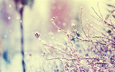 nature winter snowflakes facebook cover  vintage cover pics  facebook facebook cover