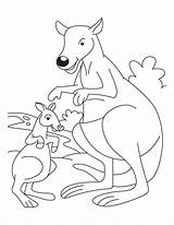 Kangaroo Kanguru Mewarnai Australien Joey Getcolorings Paud Tk Letzte Seite Meningkatkan Bermanfaat Jiwa Semoga Kreatifitas Seni Bestcoloringpages sketch template