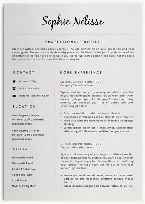 cv template    resume format resume template professional