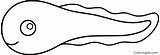 Tadpole Amphibian Caecilian sketch template