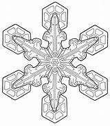 Coloring Pages Adult Adults Color Snowflake Printable Print Transparent Mandala Holiday Mental Sheets Nourish Christmas Simple Getdrawings Getcolorings Colouring Fabercastell sketch template