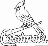 Coloring Cardinals Louis St Logo Mlb Pages Color Dodgers Cleveland Indians Print Printable Sports Angeles Los Template Coloringpages101 Astros Houston sketch template