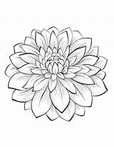 Coloring Pages Single Flower Printable Flowers Color Getcolorings sketch template