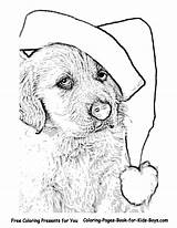 Coloring Christmas Pages Dog Puppy Hard Cute Dogs Print Puppies Library Clipart Stuff Comments Coloringhome Popular sketch template