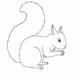Squirrel Coloring Pages Drawing Easy Printable Kids Animal Outline Template Animalplace Linearts Sketch Deviantart Place Tawas Deviant sketch template