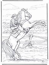 Pferd Ausmalbilder Paard Cowboy Pferde Cavalo Kleurplaat Vaqueiro Paarden Kleurplaten Selvagem Cavallo Cavalos Impennato Steigert Caballo Corveta Weihnachten Cavalli Caballos sketch template