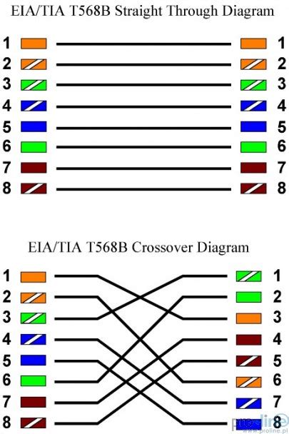 ethernet crossover cable wiring diagram wiring diagram schemas