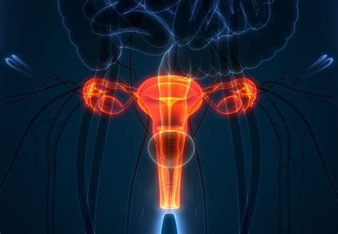 managing urogenital and vulvovaginal atrophy in breast cancer survivors receiving endocrine