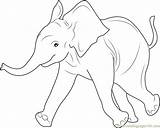 Elephant Coloring Baby Pages Coloringpages101 Online sketch template