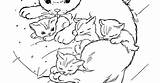 Cat Coloring Pages Kittens Printable sketch template