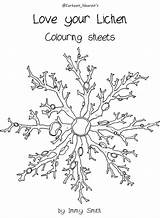 Coloring Lichens Lichen Book Colouring 87kb sketch template