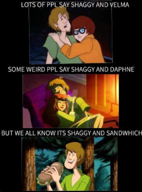 I Say Shaggy And Velma But This Is Hilarious Scooby Doo Memes Scooby
