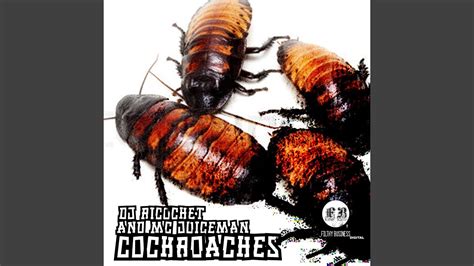 cockroaches youtube