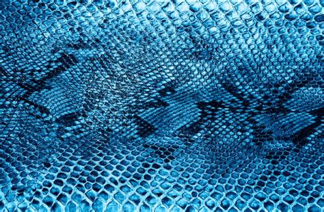 blue snakeskin images    freepik