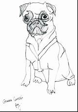 Coloring Realistic Pages Puppy Getcolorings Getdrawings sketch template