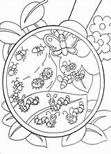 Coloring Bugs Pages Its Bug Dora Supercoloring Insects Insect Printable Craft раскраски Para Color Colouring Rocks Super Exploradora La Colorear sketch template