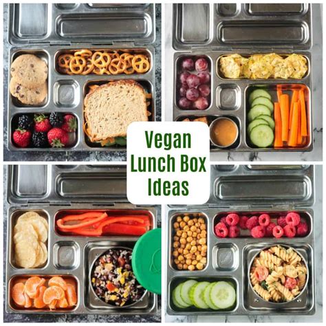 ultimate guide  packing  vegan lunch box veggie inspired