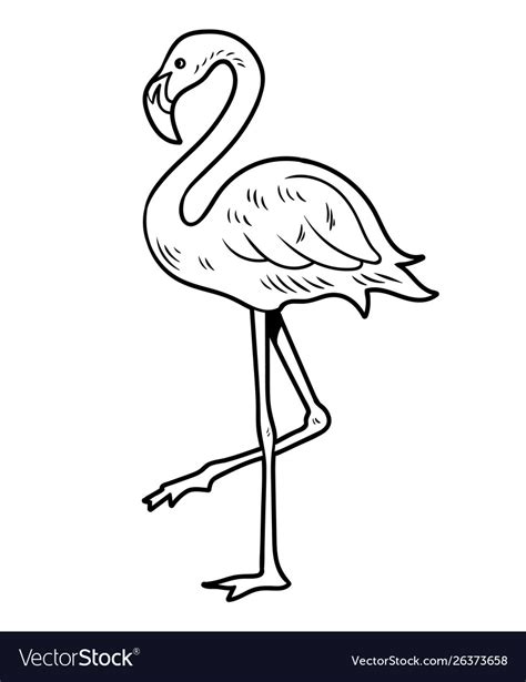 simple line drawing sketch flamingo royalty free vector