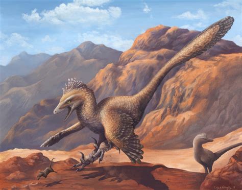 velociraptor  utahraptor    cousins compare