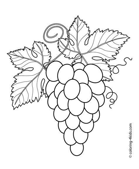 grapes  leaves fruits  berries coloring pages  kids