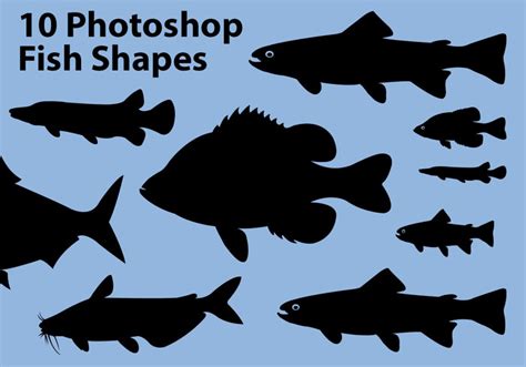 photoshop fish shapes