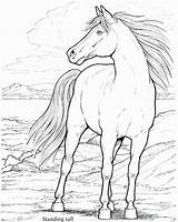 Coloring Mustang Horse Pages Realistic Printable Color Getcolorings Marvellous Stallion Getdrawings sketch template