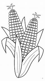 Clipart Coloring Vegetable Transparent Corn Vegetables Webstockreview Names Fruit Surprising sketch template