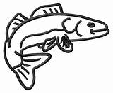Walleye Drawing Outline Designs Cartoon Clip Fish Crappie Cliparts Draw Easy Clipart Drawings Embroidery Slam Grand Getdrawings Library Embroiderydesigns Result sketch template