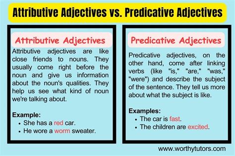 attributive adjectives  predicative adjectives
