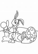 Osterhase Pasqua Uova Auf Pascua Malvorlage Eier Ausdrucken Coniglietto Huevos Osterhasen Ostereiern Ostern Malvorlagen Pasen Conejito Baumstumpf Schaut Bunny Malen sketch template