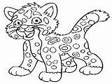 Coloring Pages Jaguar Animal Animals Printable Kids Baby Realisticcoloringpages sketch template