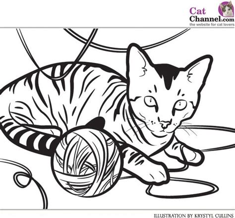 images  favorite cat colouring pages  pinterest