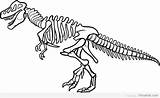 Dinosaur Coloring Pages Skeleton Dinosaurs Drawing Bones Kids Fossils Print sketch template