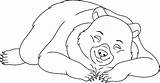 Bear Sleeping Coloring Clipart Clip Vector Illustrations sketch template