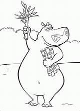 Madagascar Coloring Pages Coloringpages1001 sketch template