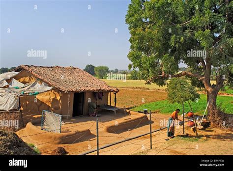village house idar sabarkantha gujarat india stock photo