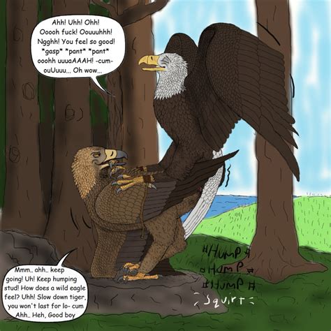 Rule 34 Avian Bald Eagle Bird Cloaca Cum Eagle Feral