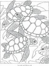 Challenging Coloring Pages Getdrawings sketch template