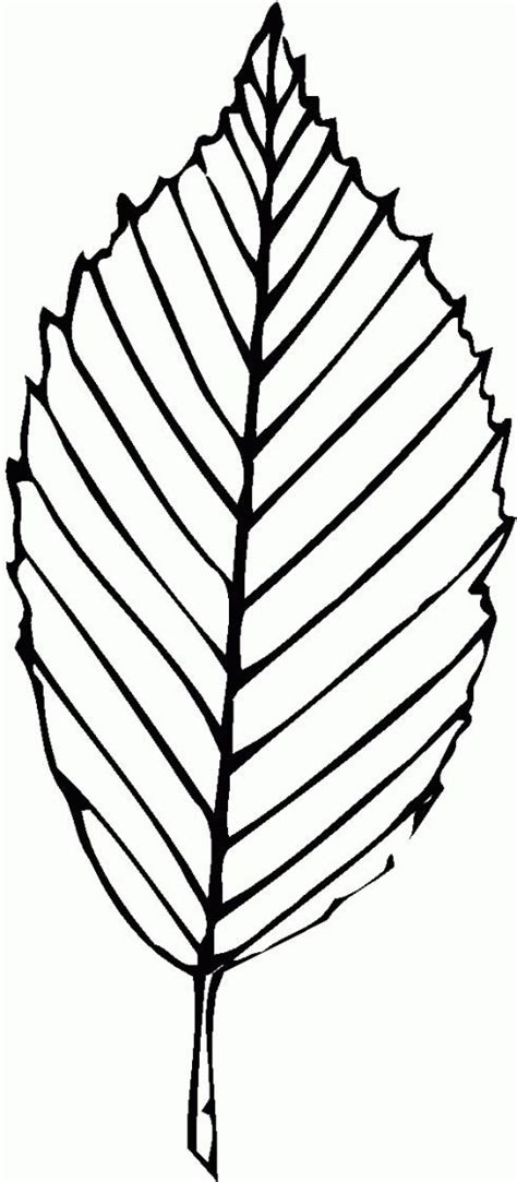 pin     coloring trees leaves leaf coloring page fall