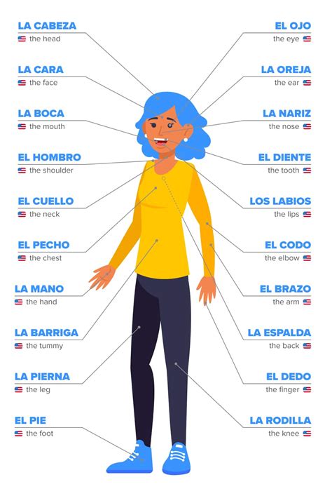 body parts  spanish  important vocabulary words  helpful